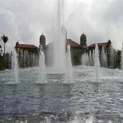 Кедър фонтан